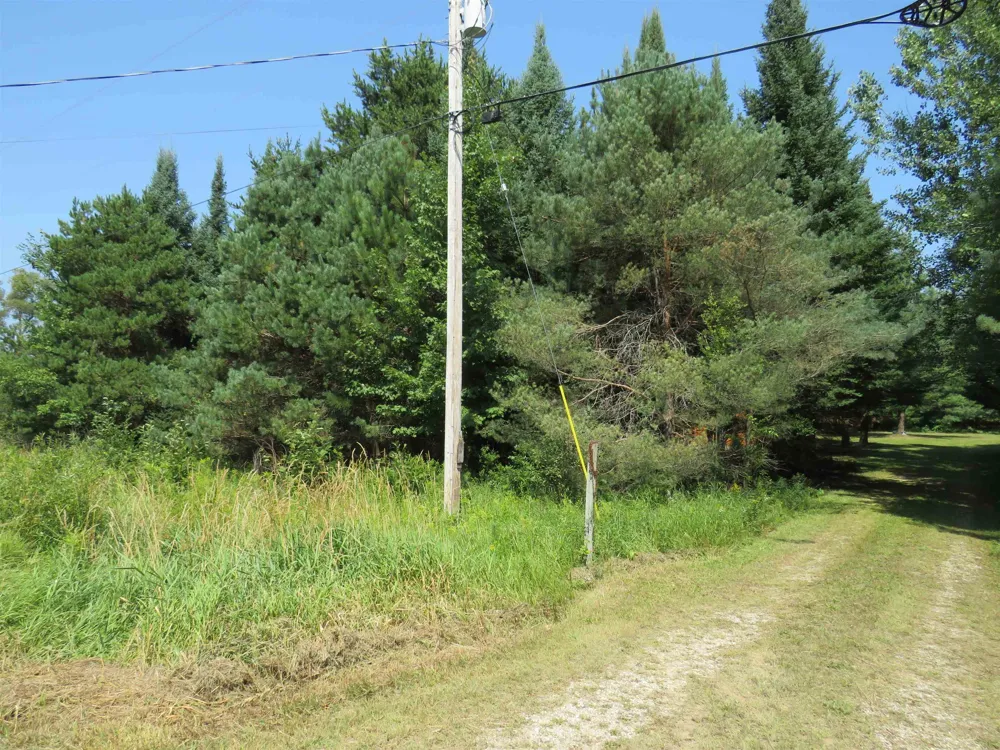 2551 E Simpson Road Norwich Township, MI 49651