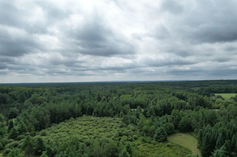 2551 E Simpson Road Norwich Township, MI 49651