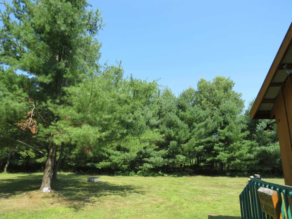 2551 E Simpson Road Norwich Township, MI 49651