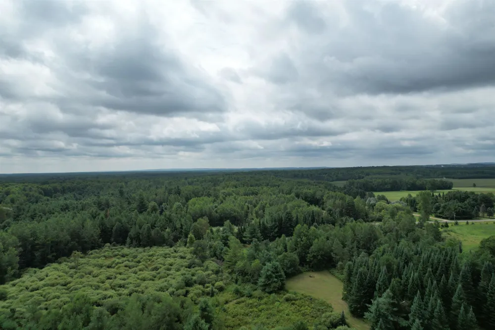 2551 E Simpson Road Norwich Township, MI 49651