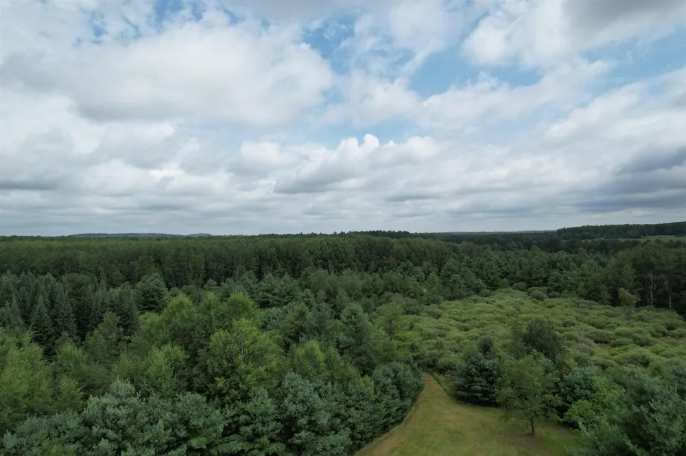 2551 E Simpson Road Norwich Township, MI 49651