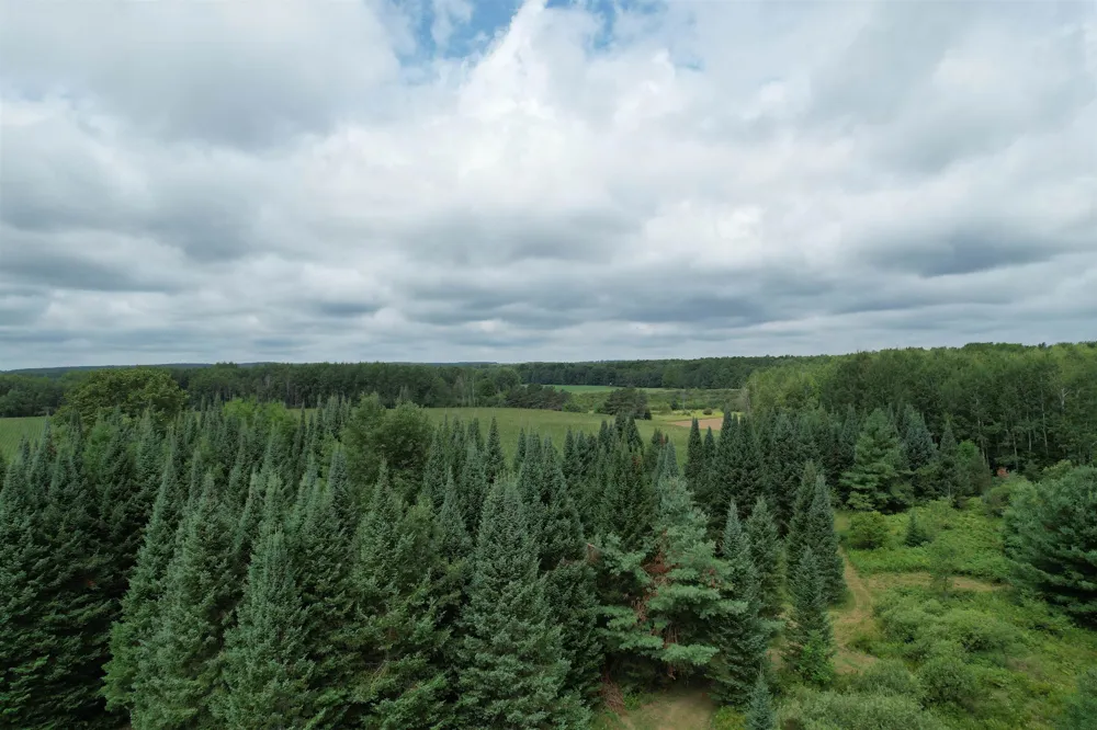 2551 E Simpson Road Norwich Township, MI 49651