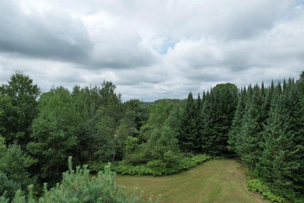 2551 E Simpson Road Norwich Township, MI 49651