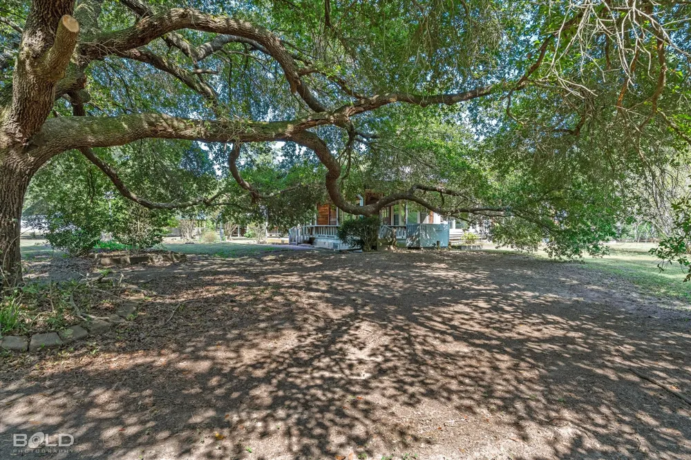 2055 Sloan Road Mansfield, LA 71052