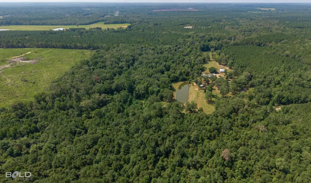 2055 Sloan Road Mansfield, LA 71052