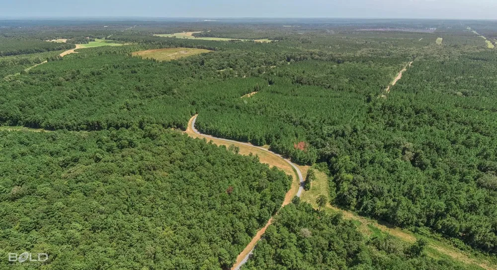 2055 Sloan Road Mansfield, LA 71052