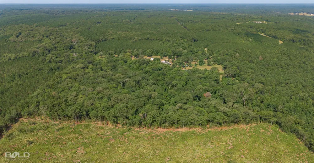 2055 Sloan Road Mansfield, LA 71052