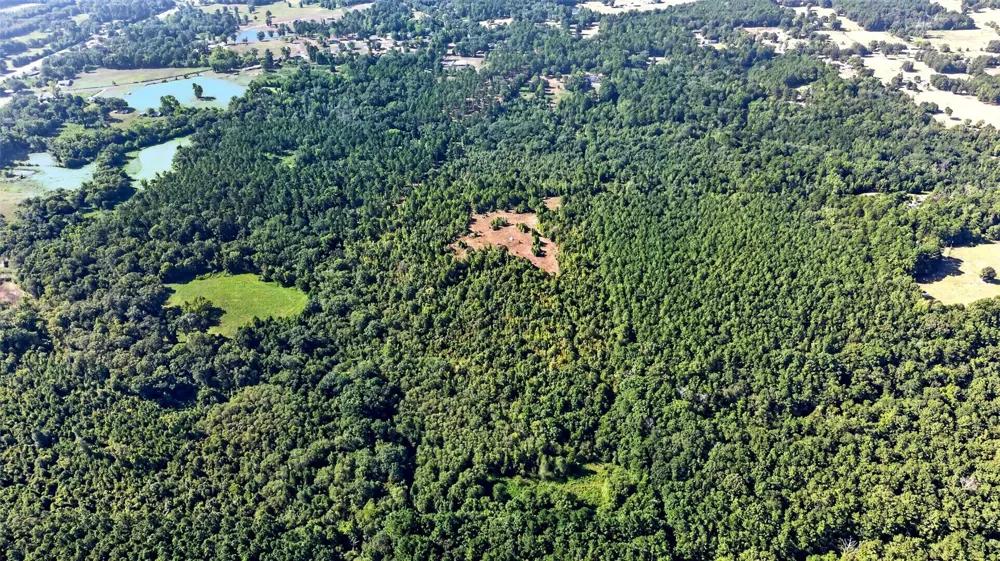 Fm 1972 Gilmer, TX 75645