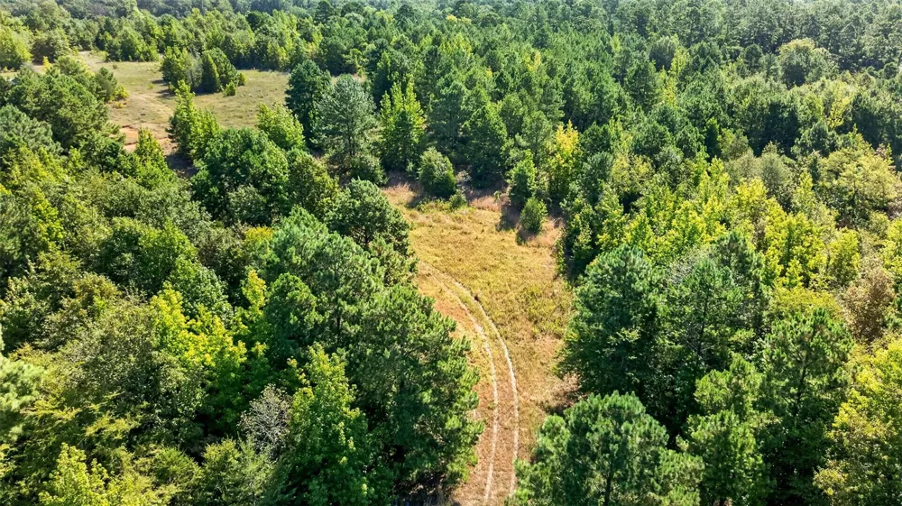 Fm 1972 Gilmer, TX 75645