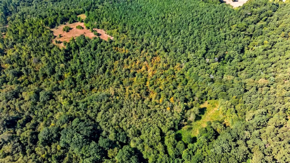Fm 1972 Gilmer, TX 75645