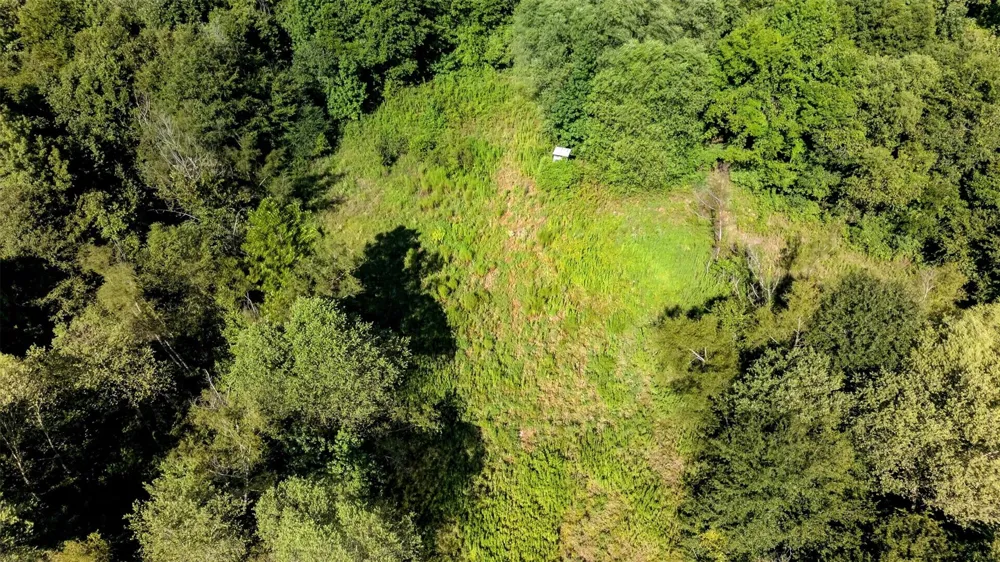 Fm 1972 Gilmer, TX 75645