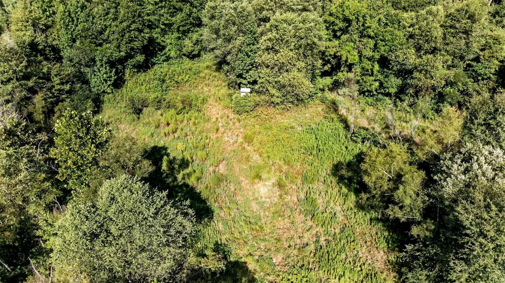 Fm 1972 Gilmer, TX 75645