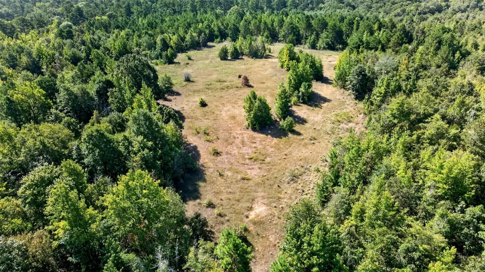 Fm 1972 Gilmer, TX 75645