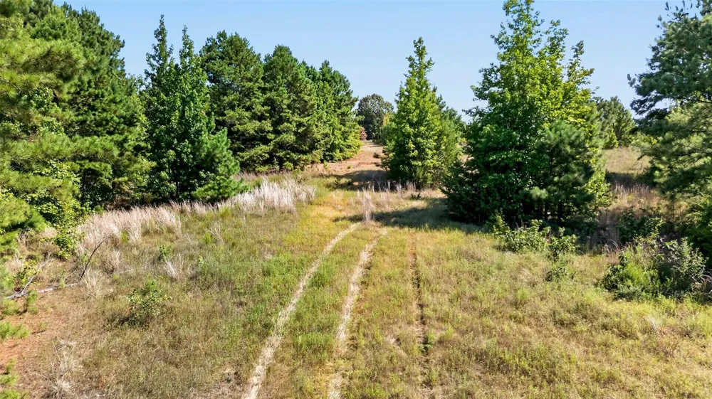 Fm 1972 Gilmer, TX 75645