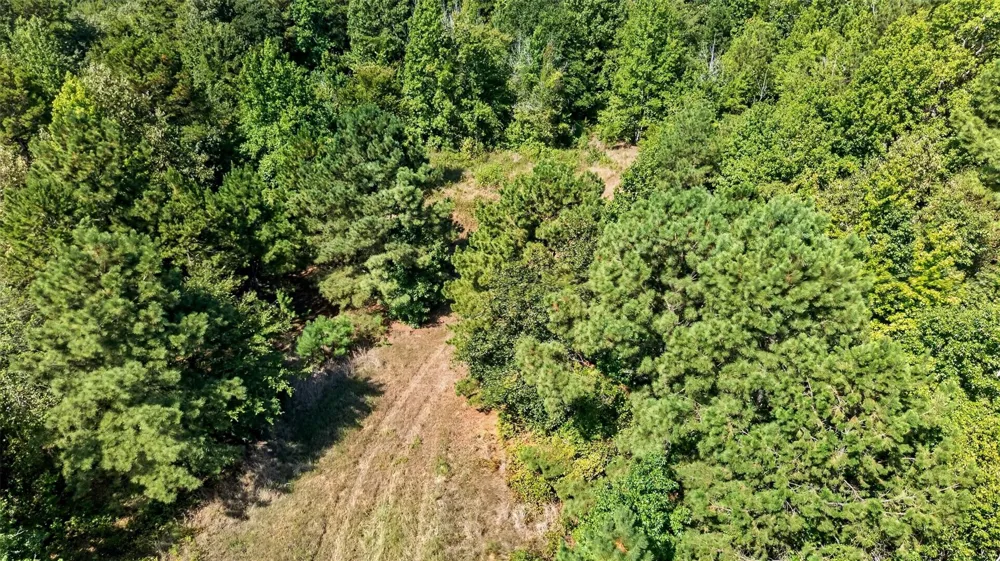 Fm 1972 Gilmer, TX 75645