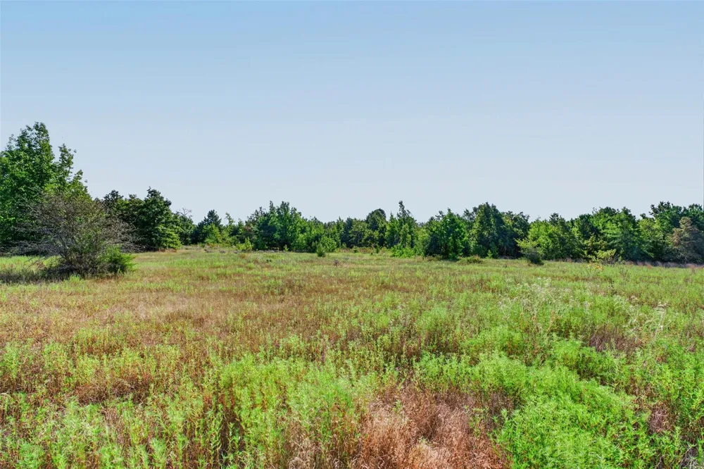 Fm 1972 Gilmer, TX 75645