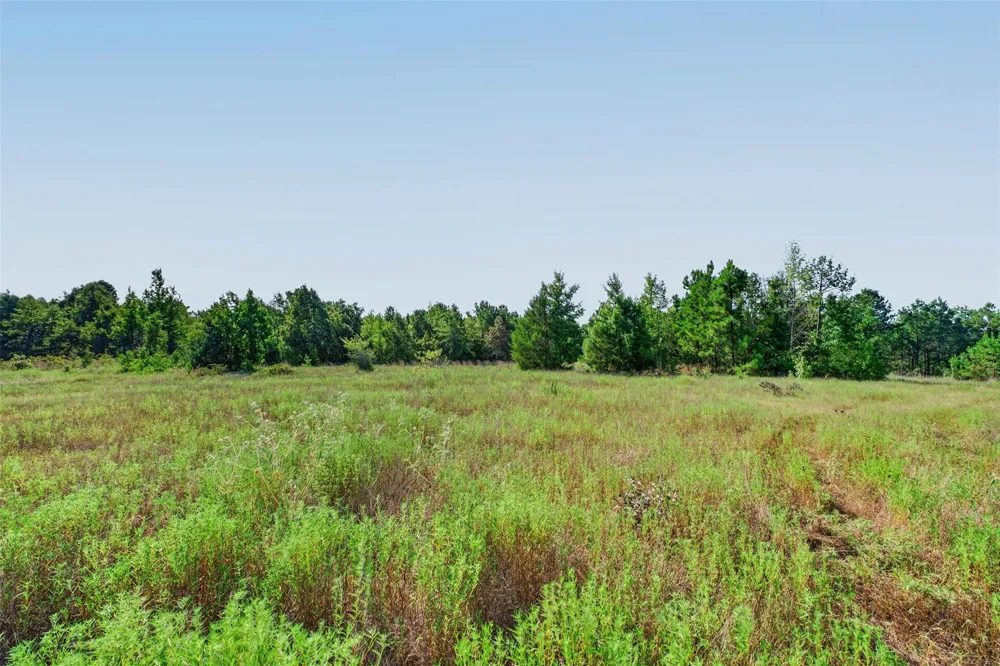 Fm 1972 Gilmer, TX 75645