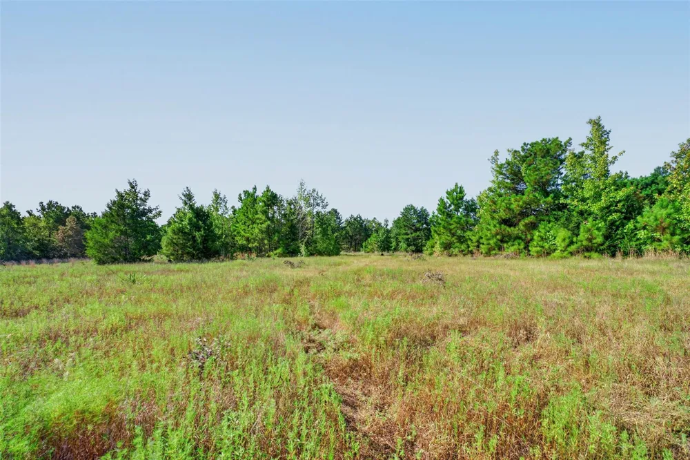 Fm 1972 Gilmer, TX 75645