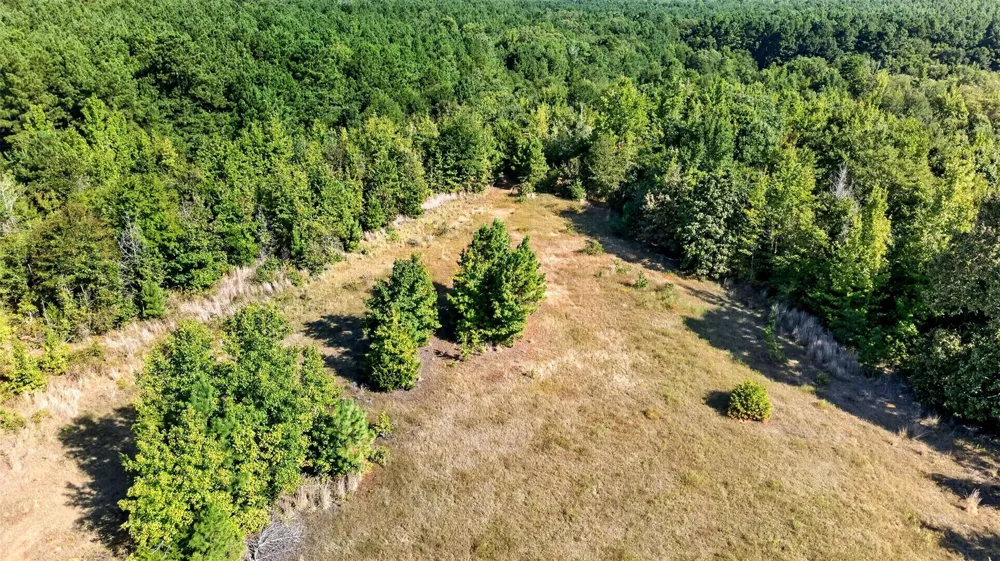 Fm 1972 Gilmer, TX 75645