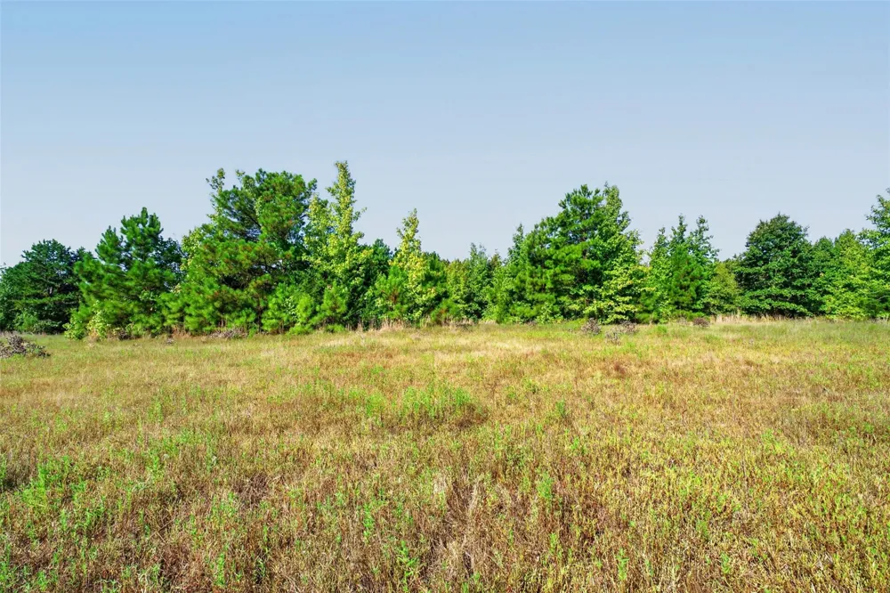 Fm 1972 Gilmer, TX 75645