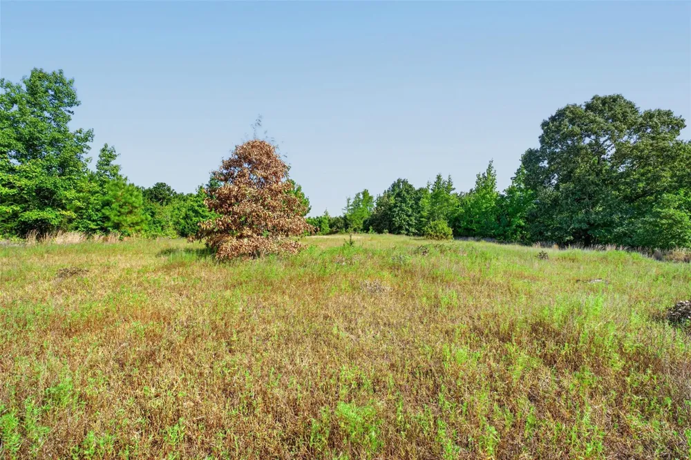 Fm 1972 Gilmer, TX 75645