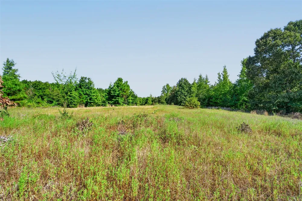 Fm 1972 Gilmer, TX 75645