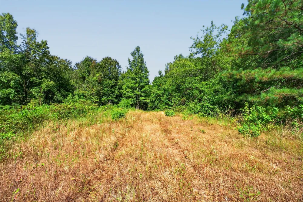 Fm 1972 Gilmer, TX 75645