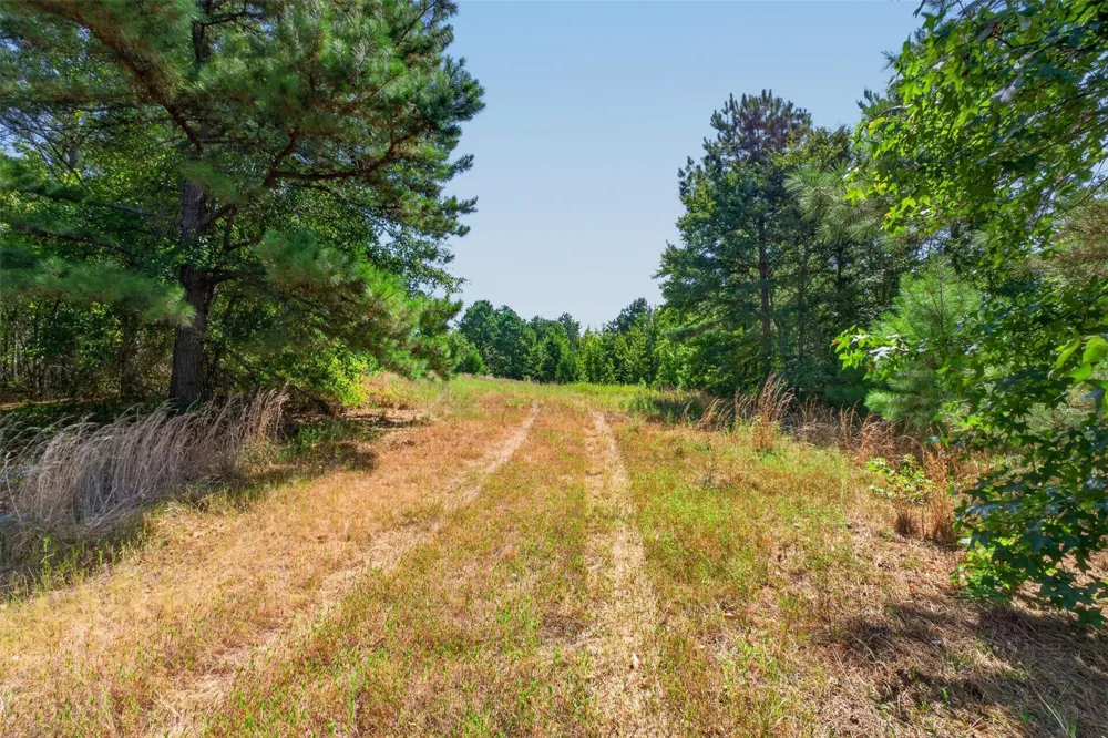 Fm 1972 Gilmer, TX 75645