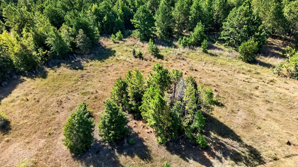 Fm 1972 Gilmer, TX 75645