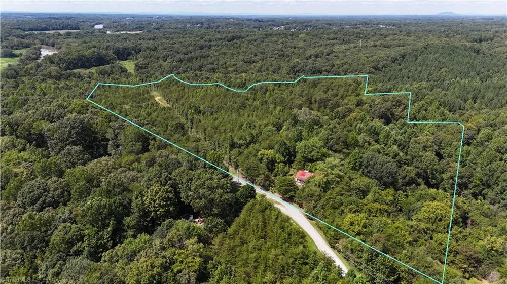 438 River Pines Trail Clemmons, NC 27012