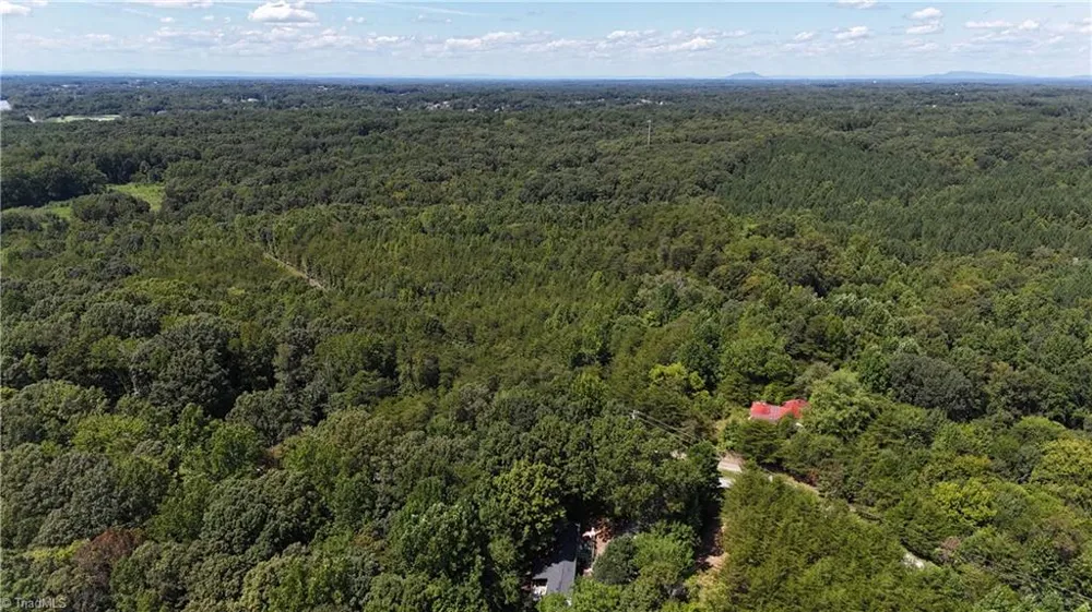 438 River Pines Trail Clemmons, NC 27012