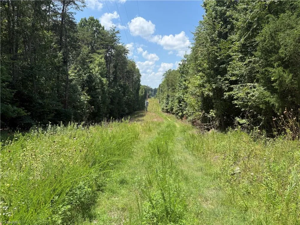 438 River Pines Trail Clemmons, NC 27012