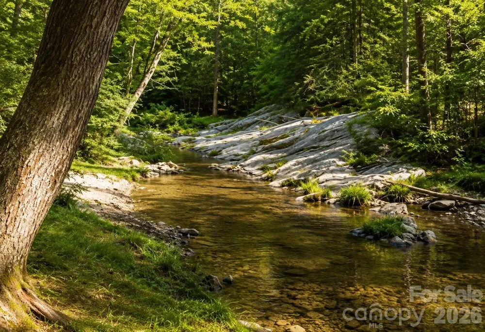 117 Horse Shoe Ridge Road E Deep Gap, NC 28618
