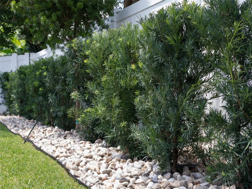 1051 WAX MYRTLE AVENUE Minneola, FL 34715