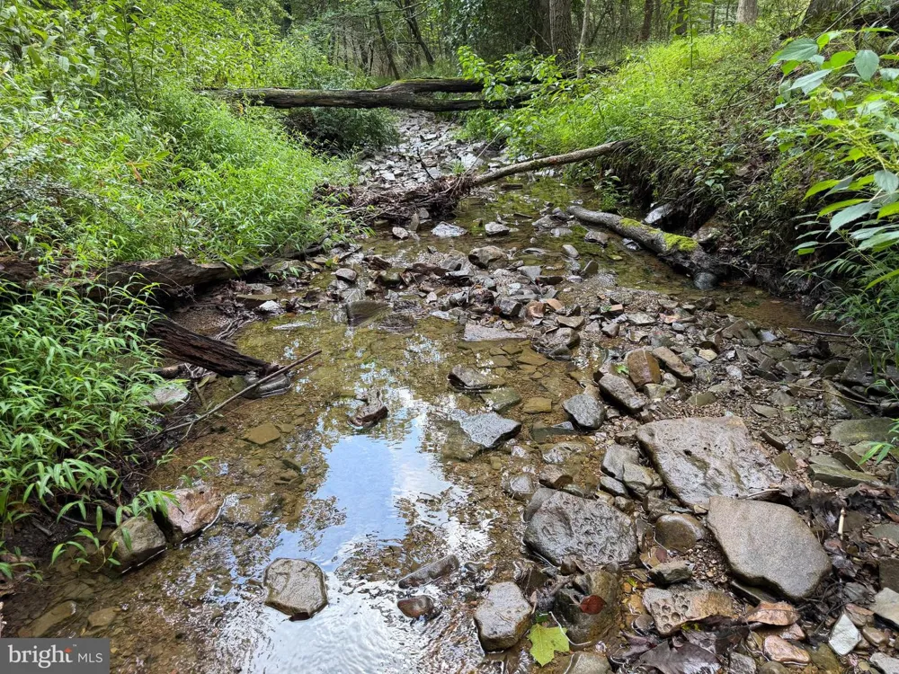 190 BLUFFS ON THE POTOMAC Romney, WV 26757