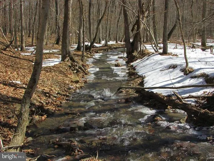 190 BLUFFS ON THE POTOMAC Romney, WV 26757