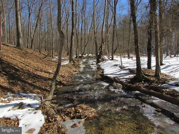 190 BLUFFS ON THE POTOMAC Romney, WV 26757