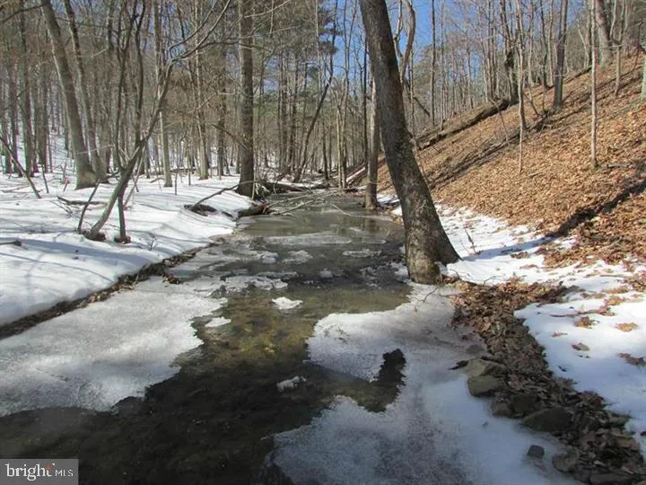 190 BLUFFS ON THE POTOMAC Romney, WV 26757