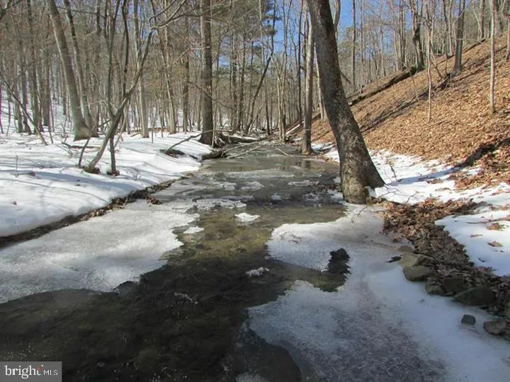 190 BLUFFS ON THE POTOMAC Romney, WV 26757