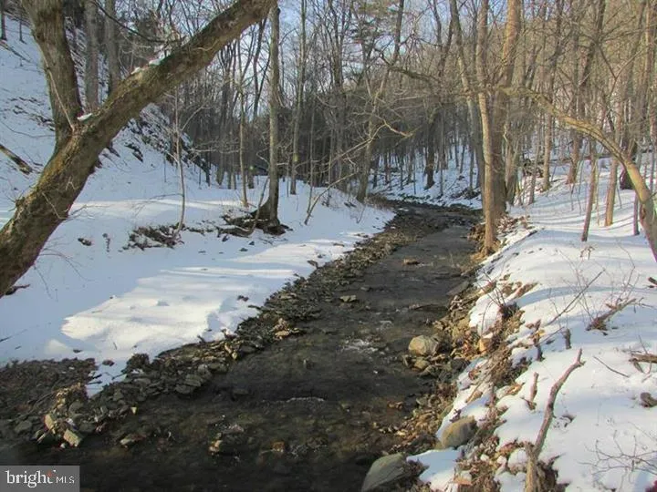 190 BLUFFS ON THE POTOMAC Romney, WV 26757