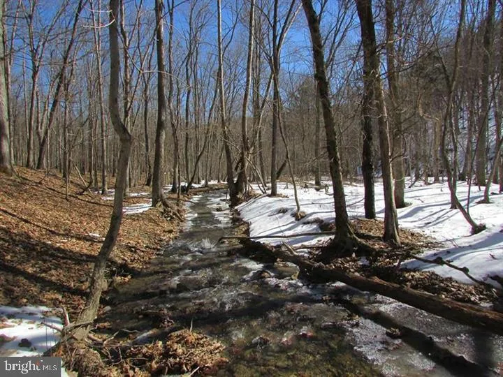 190 BLUFFS ON THE POTOMAC Romney, WV 26757