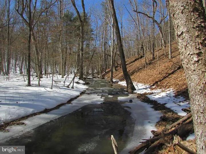 190 BLUFFS ON THE POTOMAC Romney, WV 26757