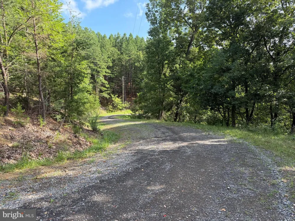 190 BLUFFS ON THE POTOMAC Romney, WV 26757