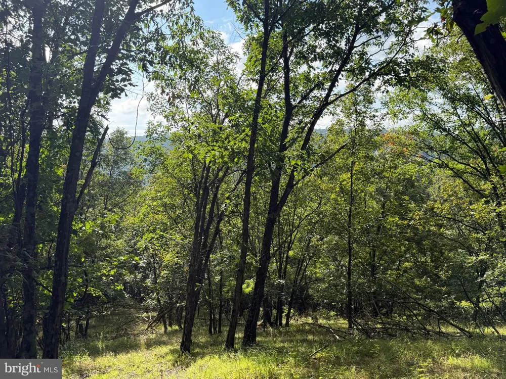190 BLUFFS ON THE POTOMAC Romney, WV 26757