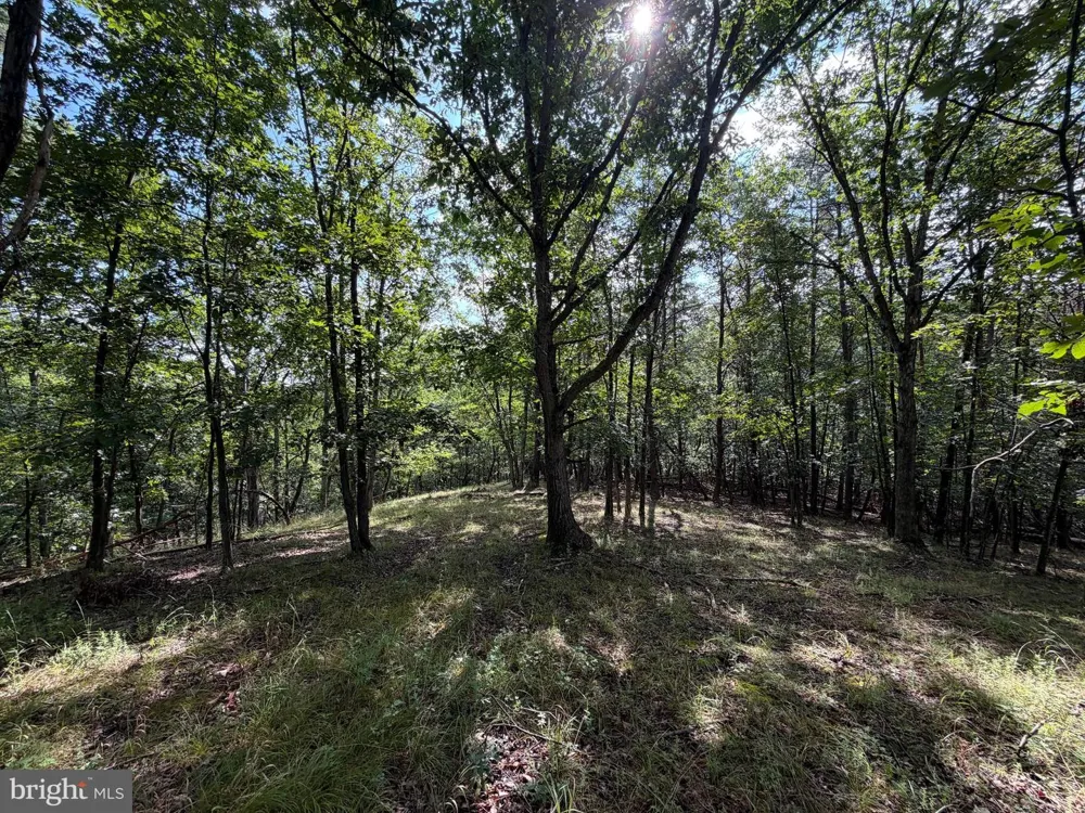 190 BLUFFS ON THE POTOMAC Romney, WV 26757