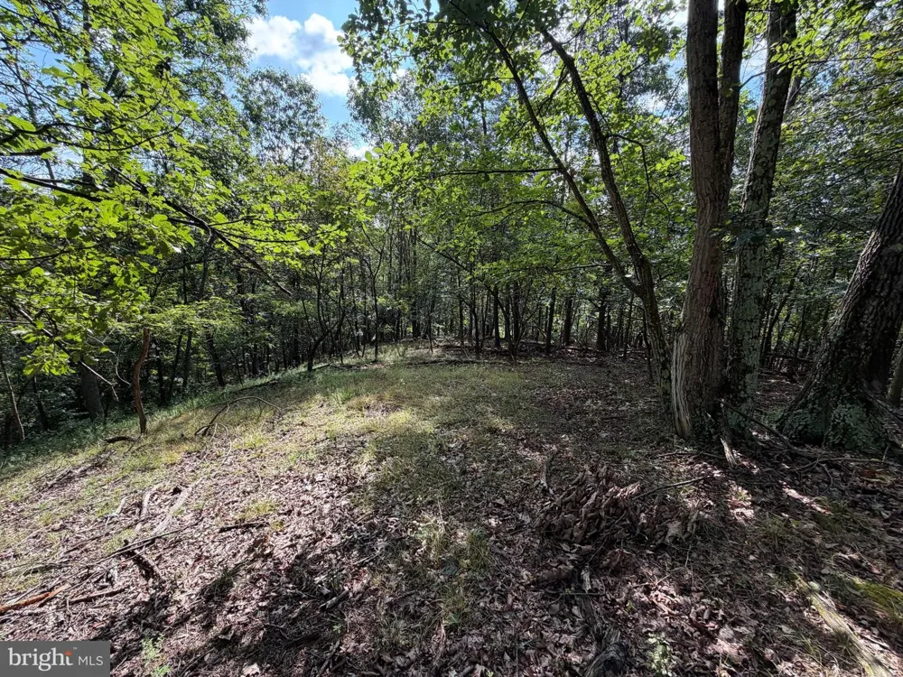 190 BLUFFS ON THE POTOMAC Romney, WV 26757