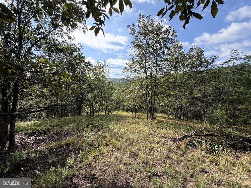 190 BLUFFS ON THE POTOMAC Romney, WV 26757