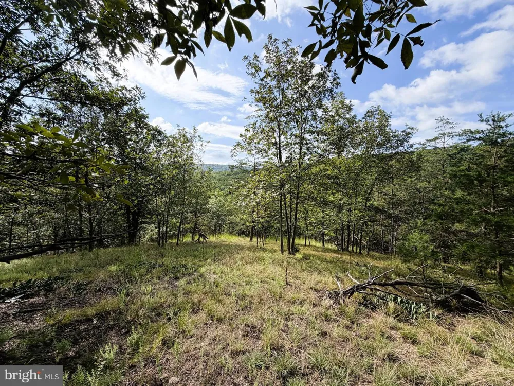 190 BLUFFS ON THE POTOMAC Romney, WV 26757