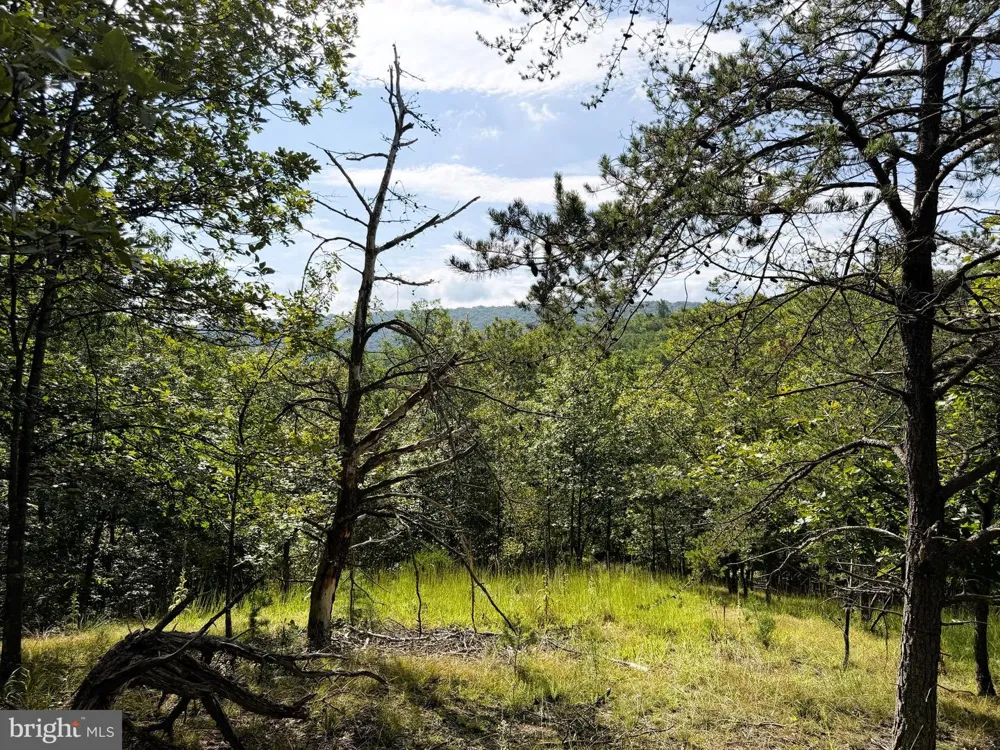 190 BLUFFS ON THE POTOMAC Romney, WV 26757