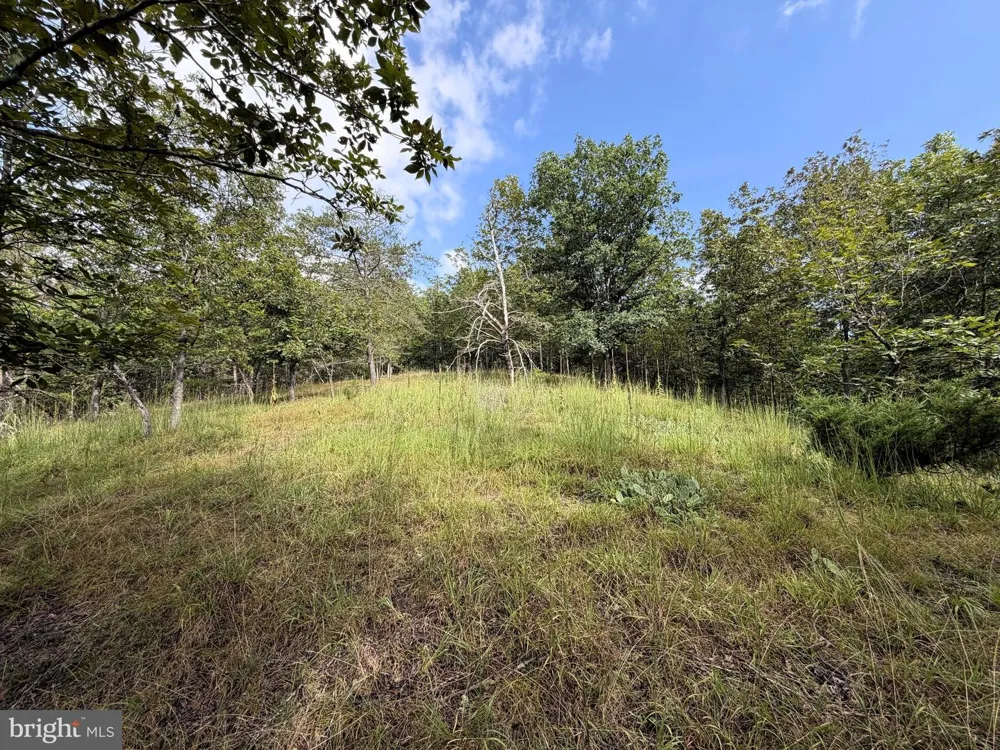 190 BLUFFS ON THE POTOMAC Romney, WV 26757